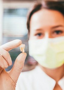 Dentist holding up an extracted tooth